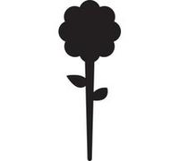 TAG Ardoise silhouette Fleur 5 unités + 1 craie liquide Multicolore G