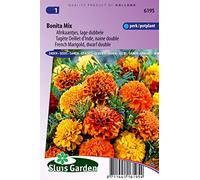 Tagète Oeillet d´Inde naine double Bonita Mix - Graines De Fleurs Annuelles