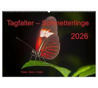 Tagfalter Schmetterlinge (Wandkalender 2026 DIN A2 quer), CALVENDO Monatskalender: Die filigranen Flieger in faszinierenden Bildern