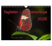 Tagfalter Schmetterlinge (Wandkalender 2026 DIN A4 quer), CALVENDO Monatskalender: Die filigranen Flieger in faszinierenden Bildern