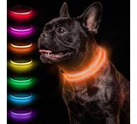 Taglory Collier Lumineux Chien USB Rechargeable pour la Nuit, Orange, M | Visible de loin, Batterie longue durée, 7 couleurs et 3 modes, Plus visible au jardin, Maille respirante confortable