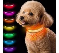 Taglory Collier Lumineux Chien USB Rechargeable pour la Nuit, Orange, S | Visible de loin, Batterie longue durée, 7 couleurs et 3 modes, Plus visible au jardin, Maille respirante confortable