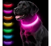 Taglory Collier Lumineux Chien USB Rechargeable pour la Nuit, Rose Vif, L | Visible de loin, Batterie longue durée, 7 couleurs et 3 modes, Plus visible au jardin, Maille respirante confortable