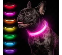 Taglory Collier Lumineux Chien USB Rechargeable pour la Nuit, Rose Vif, M | Visible de loin, Batterie longue durée, 7 couleurs et 3 modes, Plus visible au jardin, Maille respirante confortable
