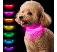 Taglory Collier Lumineux Chien USB Rechargeable pour la Nuit, Rose Vif, S | Visible de loin, Batterie longue durée, 7 couleurs et 3 modes, Plus visible au jardin, Maille respirante confortable