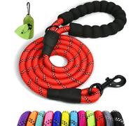 Taglory Laisse Chien Corde réfléchissants pour Chiens de Moyenne Grande | Ultra-Résistante Grade Escalade Ø 1,0 cm, Pour Chien Petite et Moyen, Prise en Main Douce Sans Brûlure, Balade et Dressage