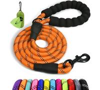 Taglory Laisse Chien Corde réfléchissants pour Chiens de Moyenne Grande | Ultra-Résistante Grade Escalade Ø 1,2 cm, Pour Grand Chien qui Tire, Prise en Main Douce Sans Brûlure, Balade Quotidienne