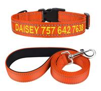 TagME Personnalisé Collier et Laisse pour Chien, Colliers en Nylon Brodé & 1,5M Double-Face Réfléchissant Laisse pour Chiot, Petit, Moyen, Grand Chiens (S:2.0x25-40cm (Lot de 1), Orange)