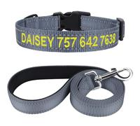 TagME Personnalisé Collier et Laisse pour Chien, Colliers en Nylon Brodé & 1,5M Double-Face Réfléchissant Laisse pour Chiot, Petit, Moyen, Grand Chiens (S:2.0x25-40cm (Lot de 1), Gris)