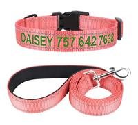TagME Personnalisé Collier et Laisse pour Chien, Colliers en Nylon Brodé & 1,5M Double-Face Réfléchissant Laisse pour Chiot, Petit, Moyen, Grand Chiens (S:2.0x25-40cm (Lot de 1), Rose Layette)