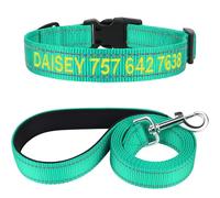 TagME Personnalisé Collier et Laisse pour Chien, Colliers en Nylon Brodé & 1,5M Double-Face Réfléchissant Laisse pour Chiot, Petit, Moyen, Grand Chiens (S:2.0x25-40cm (Lot de 1), Bleu Sarcelle)