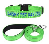 TagME Personnalisé Collier et Laisse pour Chien, Colliers en Nylon Brodé & 1,5M Double-Face Réfléchissant Laisse pour Chiot, Petit, Moyen, Grand Chiens (S:2.0x25-40cm (Lot de 1), Vert)