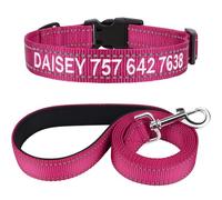 TagME Personnalisé Collier et Laisse pour Chien, Colliers en Nylon Brodé & 1,5M Double-Face Réfléchissant Laisse pour Chiot, Petit, Moyen, Grand Chiens (S:2.0x25-40cm (Lot de 1), Rose Vif)