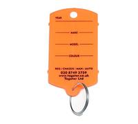 Tagster Lot de 200 étiquettes de clés de véhicules en plastique avec anneaux métalliques fendus Métal - Orange