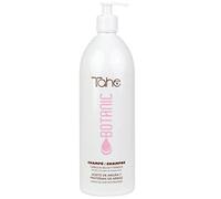 Tahe Botanic Shampooing pour cheveux colorés et secs avec huile d'Argan et protéines de Riz, 1000 ml