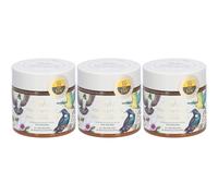 TAHI Miel de Manuka UMF 15+ MGO 514+ Aliment 3x250 g