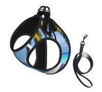 Tahiti Beaches Ensemble harnais et laisse en maille douce pour chien et chat Motif plage