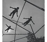 Tahiti Boy and the Palmtree Family - Songs of Vertigo [Import]