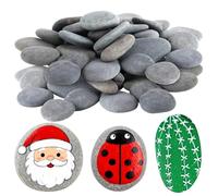 TAICHEUT Lot de 30 grands galets plats de 5,1 à 7,6 cm, roches de rivière lisses pour projets artistiques, peinture sur pierre, décoration de jardin