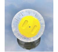 Taicols Boule d'exercice de Hamster, Balle Portatif pour Courir Jogging Sport, Jaune