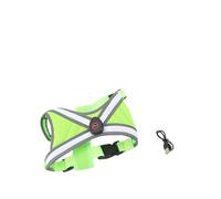 Taidda Harnais Lumineux pour Chien avec Sangles Réglables pour la Marche Nocturne et Les Aventures en Plein Air, Gilet de sécurité Rechargeable par USB Qui Brille dans Le Noir (M)