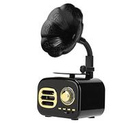 Taidda Mini Haut-Parleur Rétro, Lecteur de Musique Portable pour Ordinateur de Bureau, Son Idéal pour Voyager, Couleur Rose/Noir/Rouge/Noyer (Black)