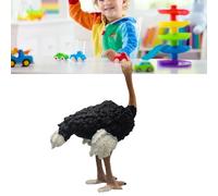 Taidda Modèle de Figurine D'autruche Réaliste et éducatif, Idéal pour Développer Les Compétences, Matériau PVC