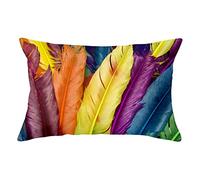 Taie d'oreiller 1pcs 35x55cm Housse de Coussin Carré Lin de Coton Double Face Fermeture Glissière Invisible Décoratif Maison Salon Chambre pour Canapé(Plumes colorées A891,14x22inch)