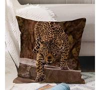 Taie d'oreiller 45x 45cm,Leopard Wild Animal Sexy Striped Beast Sharp-witted Walking on Road,Housse de Coussin Canapé Moderne Magnifiques Housses Coussins de Voiture Canapé Maison Décor Protecteurs