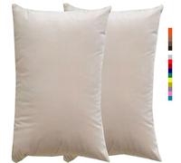 Taie d'oreiller 50x70 40x60 30x50 Beige, Taie oreiller 60x80, Housse de Coussin Canapé Velours noir, Rectangle Throw Pillow Covers pour Salon Sofa Chambre Modernes Couverture oreiller(1 Off White,50x7
