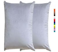 Taie d'oreiller 50x70 40x60 30x50 Beige, Taie oreiller 60x80, Housse de Coussin Canapé Velours noir, Rectangle Throw Pillow Covers pour Salon Sofa Chambre Modernes Couverture oreiller(1 White,60x80 cm