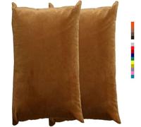 Taie d'oreiller 50x70 40x60 30x50 Beige, Taie oreiller 60x80, Housse de Coussin Canapé Velours noir, Rectangle Throw Pillow Covers pour Salon Sofa Chambre Modernes Couverture oreiller(1 Light Coffee,6