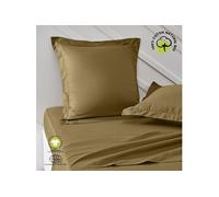 Today Taie d'oreiller Coton bio Certifié GOTS Oeko-Tex Bronze 63 x 63 cm