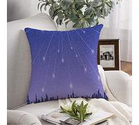 Taie d'oreiller carrée Hong Starry Tokyo Summer Sky Season Meteor New Scenery Science Parks Photograph York Outdoor Earth Taie d'oreiller décorative pour canapé lit Voiture Salon 18 x 18 Pouces