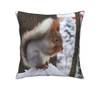 Taie d'oreiller Cute Squirrel Holding Pine Cones Winter Wild Animal Snow Scenery Print Taies D'Oreillers Respirant Housse d'oreiller pour Chambre Canapé Salon 45X45 CM