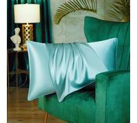 Taie d'oreiller de luxe en soie de mûrier des deux côtés 19 momme douce respirante fermeture éclair cachée 1pc/paquet 100% soie naturelle pure (bleu aqua, standard 50x75cm)