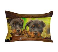 Taie d'oreiller Dog Lying on The Farm Wooden Board Sunflower Housse Oreiller Résistant Protege Oreiller Confortable Housse De Coussin pour Chambre Bureau Salon 40X60CM