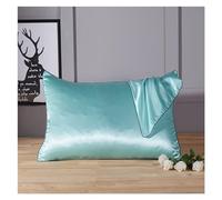 Taie d'oreiller en Soie 2 pièces/Ensemble 48x74cm taie d'oreiller Fermeture éclair taies for sain Standard Reine Roi Multicolore pour Les Cheveux et la Peau(Sky Blue,2pcs)