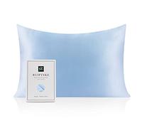 Taie d'oreiller en Soie Naturelle, hypoallergénique, 22 mm, 100% Soie, 600 Fils, avec Fermeture éclair dissimulée (50x66cm, Light Blue)