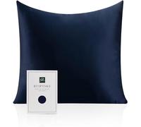 Taie d'oreiller en Soie pour Oreiller 100% Soie 22 Mommes Certifiée Oeko-TEX® Bienfaits Cheveux et Peau Anti Âge, Anti Acarien (Blue, 80x80cm)