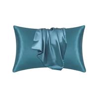 Taie d'oreiller en Soie Taie d'oreiller en Soie mûre, 2 pièces, taie Vraie, protège la Peau des Cheveux, literie(Moonlight Blue,51cmx76cm)