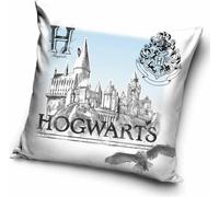 Taie d'oreiller Harry Potter Poudlard Portrait