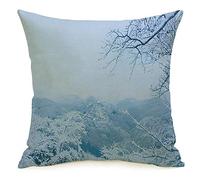 Taie d'oreiller Housse de Coussin Forest After Silver View Snowfall Winter Tree Grove Dusk Frost Wonder Nature Fog Parks Outdoor Ice Cosy Linen Square Housses de Coussin décoratives pour canapé-lit