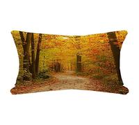 Taie d'oreiller Pathway Woods Vert Coloré À Travers Les Feuilles Paysage Arbre Automne Parcs Naturels Taies d'oreiller Super Douceur Housse De Coussin pour Lit 40X60Cm