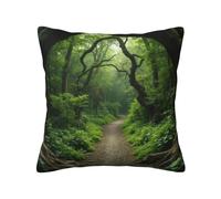Taie d'oreiller Photograph of Enchanted Forests Path Framed by Twisted Trees Pillow Covers Infroissable Taies D'Oreillers Resistant Housse Oreillers pour Chambre Canapé 45X45 Cm