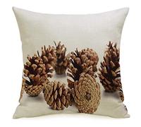 Taie d'oreiller taie d'oreiller Marron Pomme de pin cônes de pin Sec à Feuilles persistantes Blanc Macro Vert Automne Grande Flore Bouquet noël Gros Plan Confortable Lin carré décoratif Housses de c