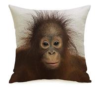 Taie d'oreiller taie d'oreiller Singe Gros Plan Jeune Orang-outan de Bornéo Face à la Recherche d'animaux Un Singe de la Faune Asiatique bébé coupé Confortable Lin carré décoratif Housses de Coussin