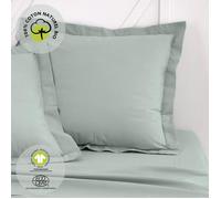Taie d'oreiller - TODAY - 63 x 63 cm + 5 cm - Coton - Organic Celadon