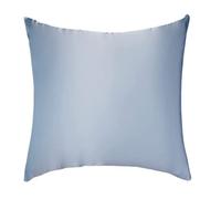Taie d'oreillers en Soie 65x65 - Oreiller Anti-Rides, Anti-acarien et Non Absorbant - 100% Soie pour Cheveux et Peau en Bonne santé (Bleu Gris)