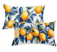 Taie Oreiller 50x80 cm Lot de 2 Citron Housse Coussin 50 x 80 Rectangulaire Coussin Fruit Impression Double Face Velour Taie d'oreiller pour Salon Chambre Maison Decoration Noël Cadeaux EM-1381